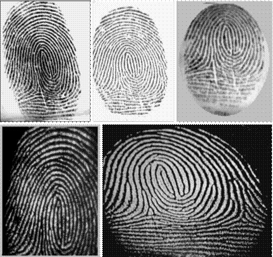 最早的指紋識別在中國--指紋識別發展史