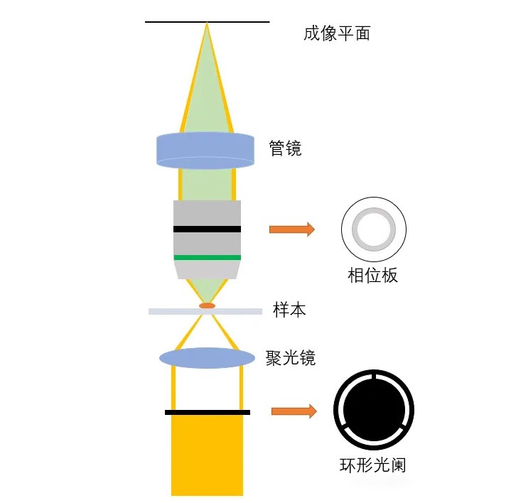 光學系統與工作原理