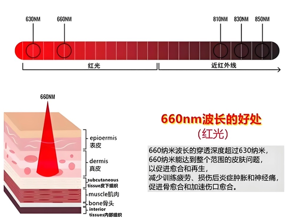 660nm對人體皮膚的作用