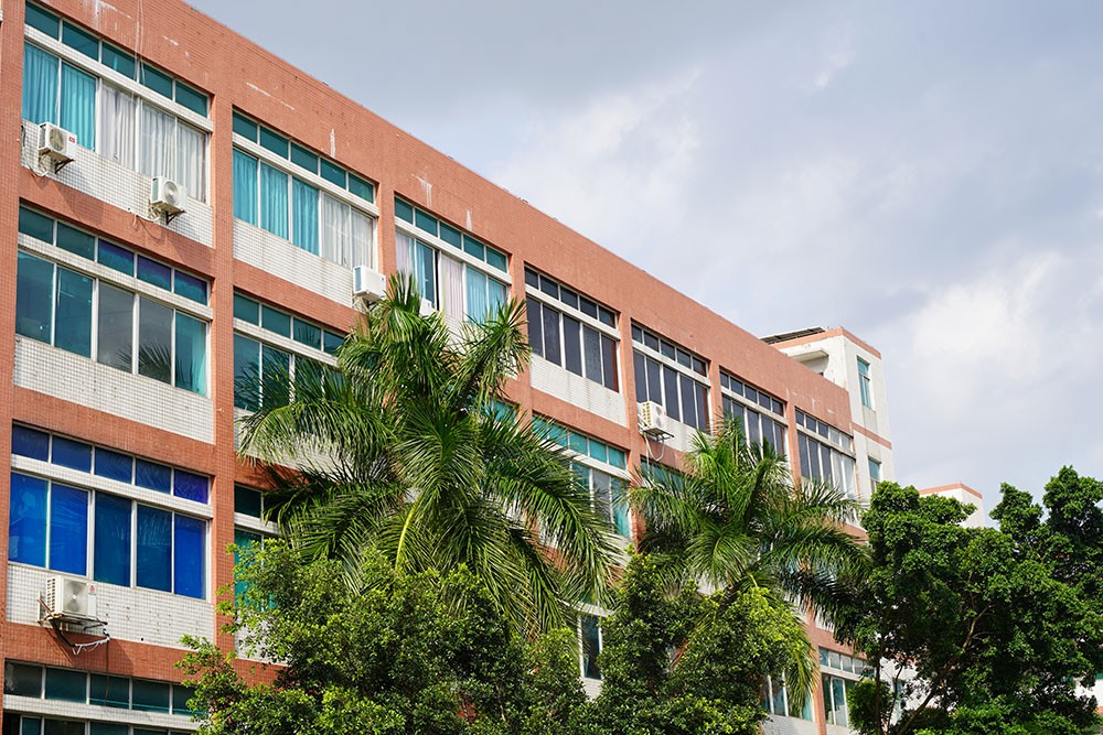 破冰夏日，聚力前行——員工趣味運動會全記錄